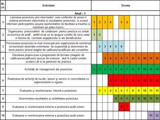 Graficul de activitati anul 1